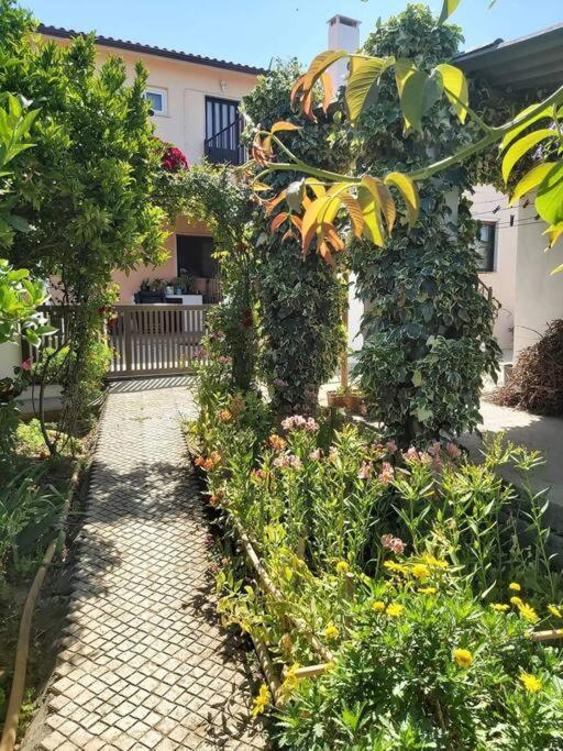 Апартаменты Casa Alegria - The Orangery Томар Экстерьер фото